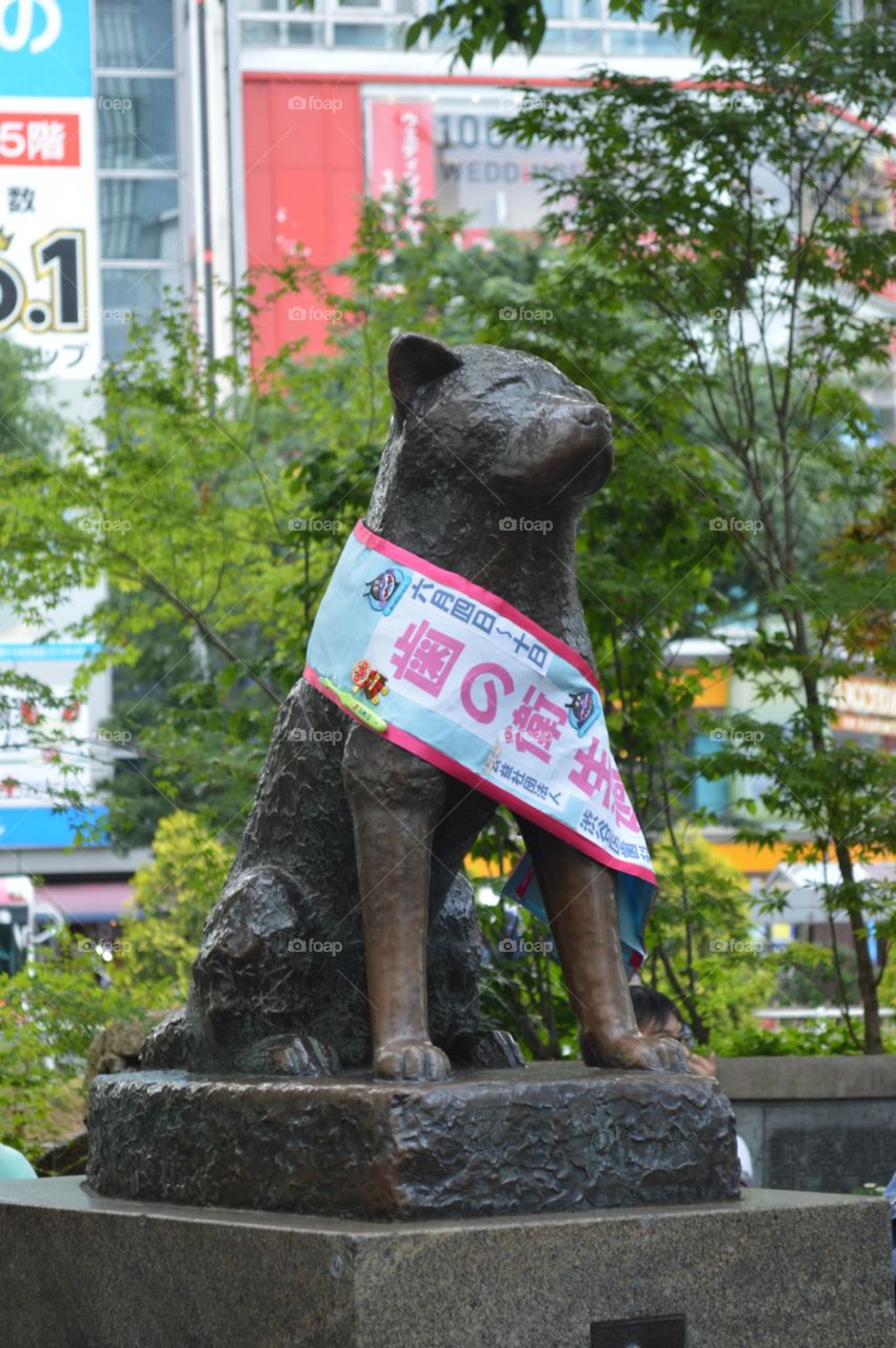 Hachiko