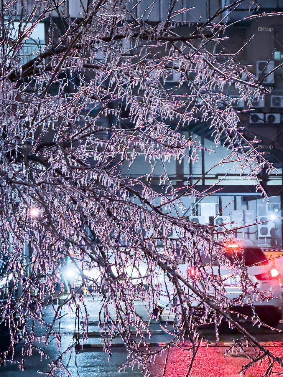 Iced tree lighted up with red light from a car