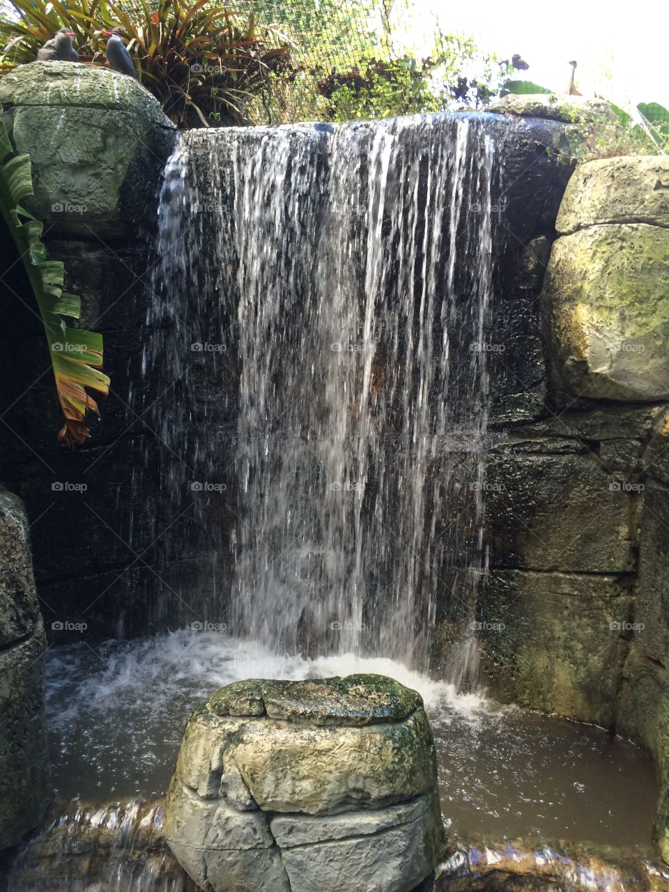 Zoo Waterfall 