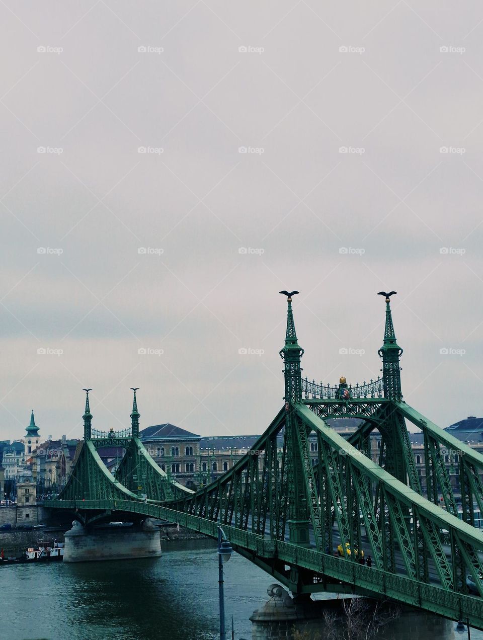 the freedom bridge from Budapest