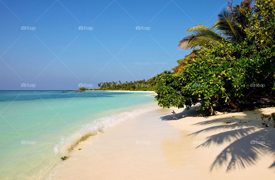 Scenic view of a island in maldives
