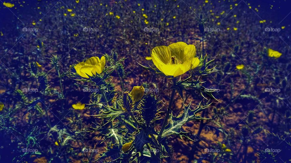 mobile series:plants