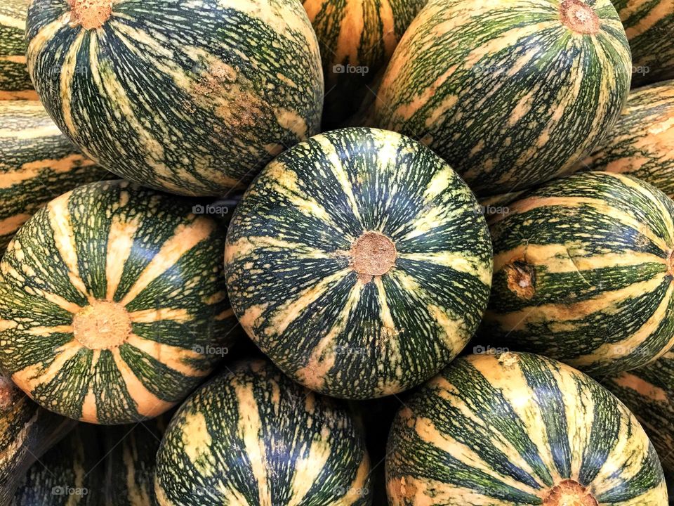 close-up of pumpkins of different sizes