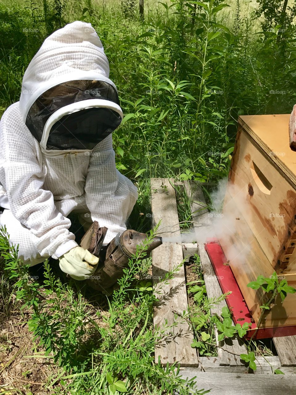 Smoking Hot Beekeeper 