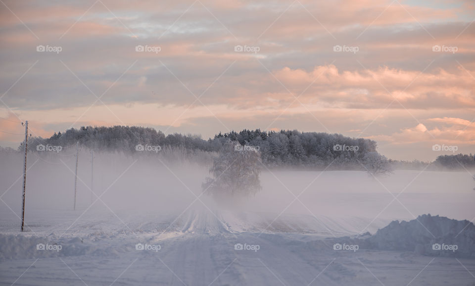 Winter  road in Krimulda, Latvia