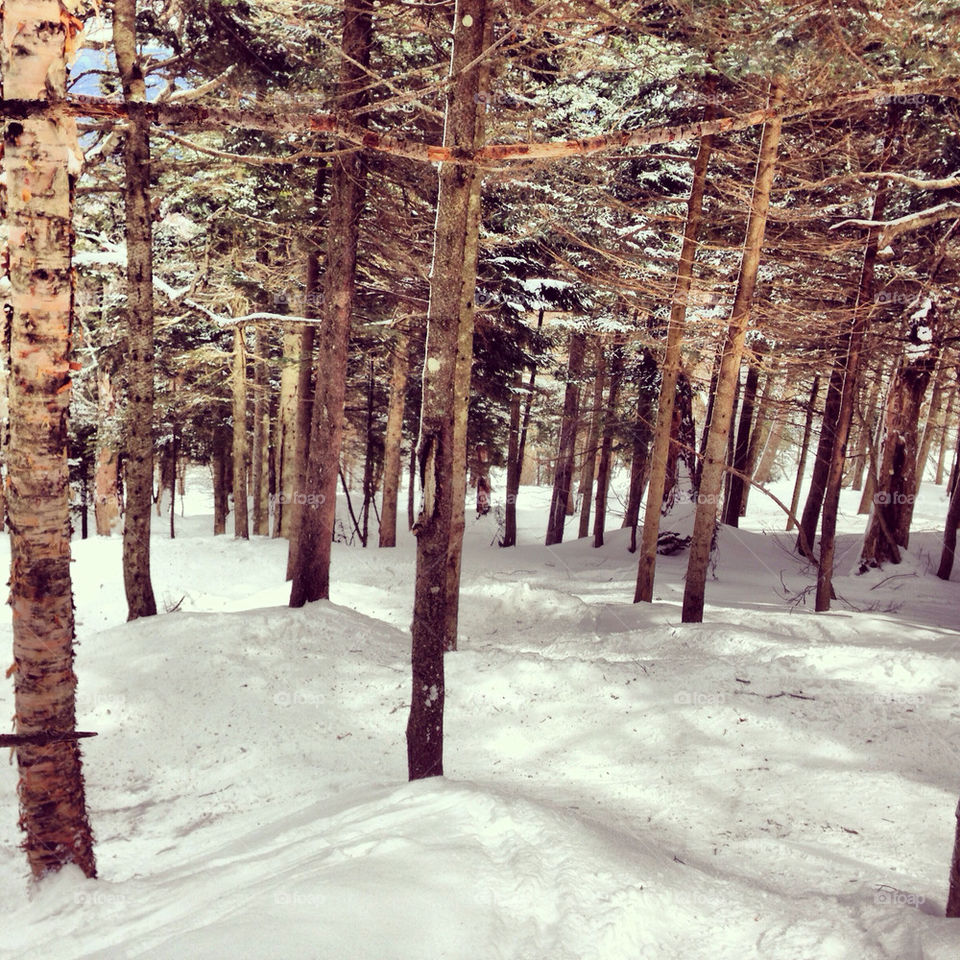 Glade skiing at stratton