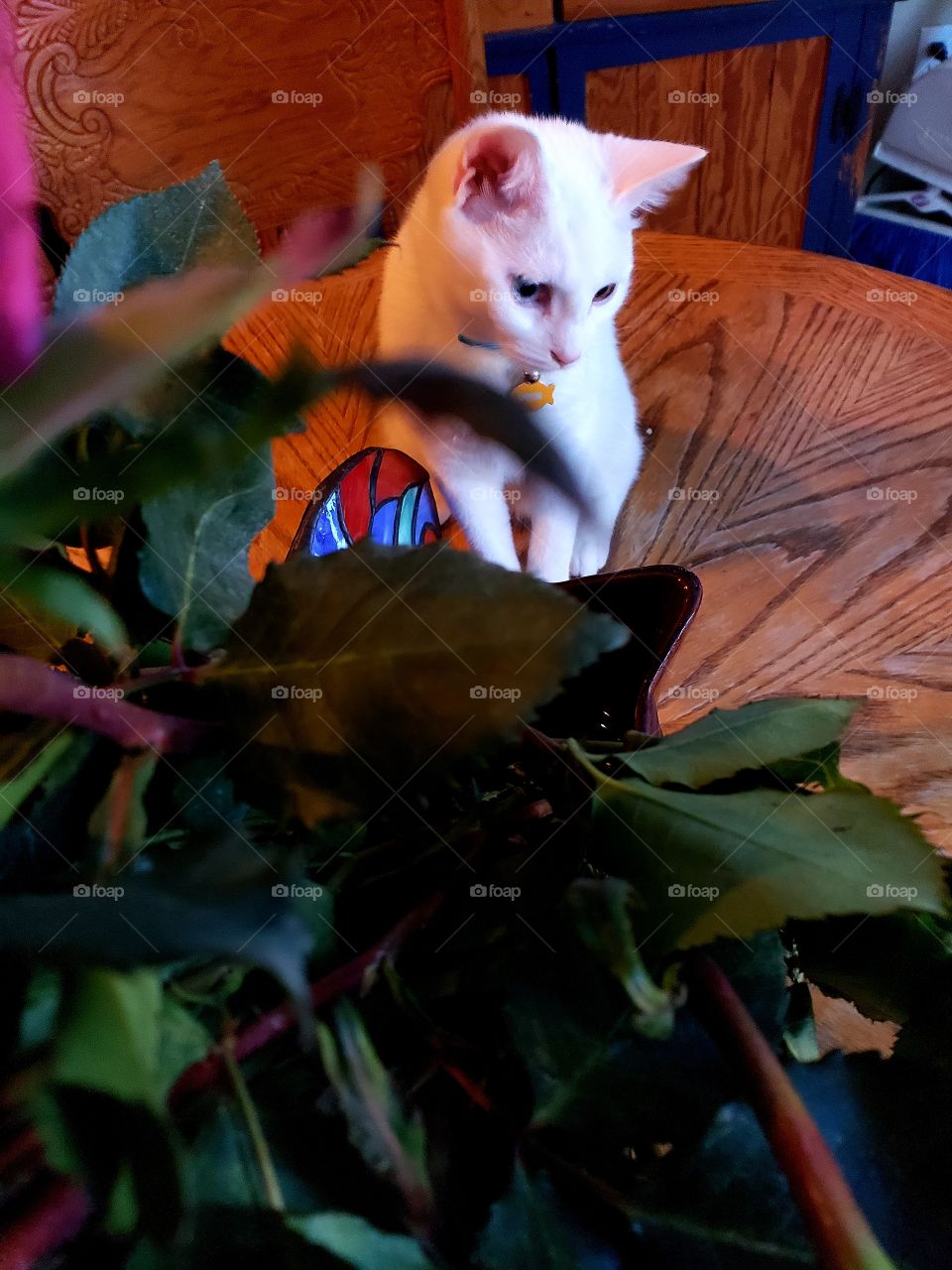 Up to no good shenanigans