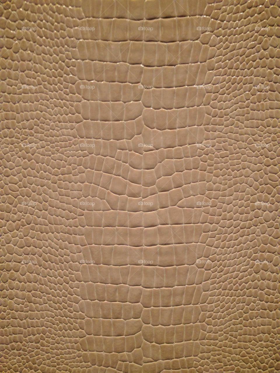 Alligator skin wallpaper