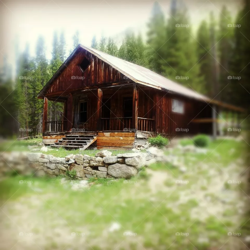 Cabin