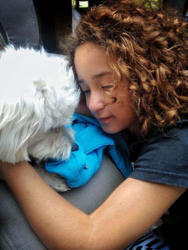 pet dog and girl