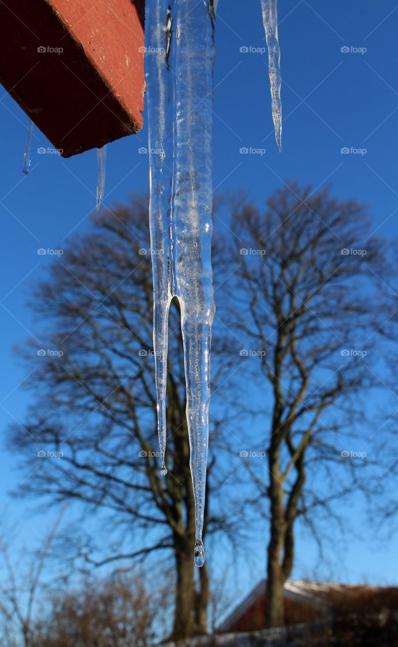 Icicle by the rooftop