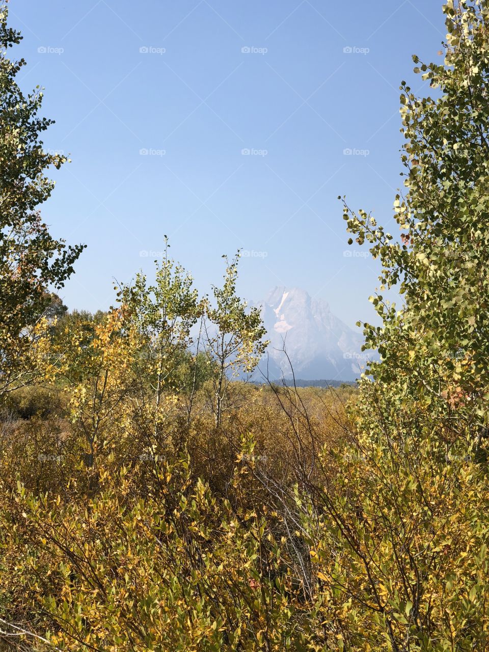 Tetons in the Fall