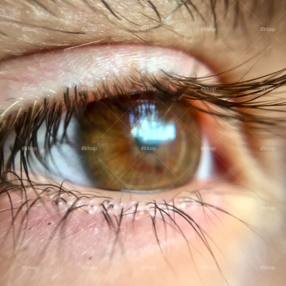 Human eye