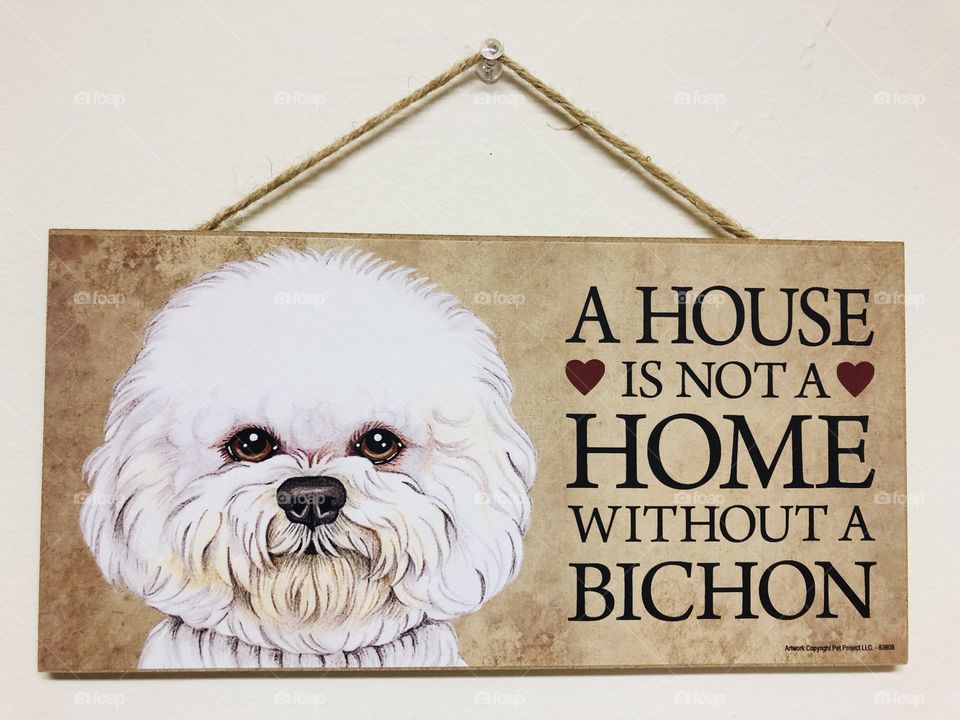 Bichon maltese sign