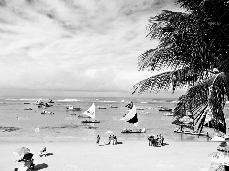 Monochromatic sight of a paradisiac beach.