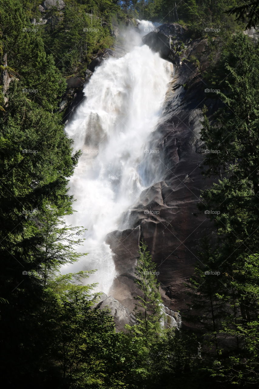 Shannon Falls