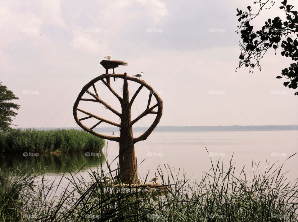 nature art in the Lithuania Neringa