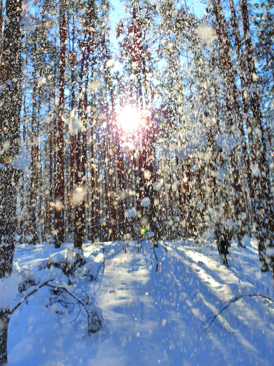 Sun and snow are the perfect combinations.