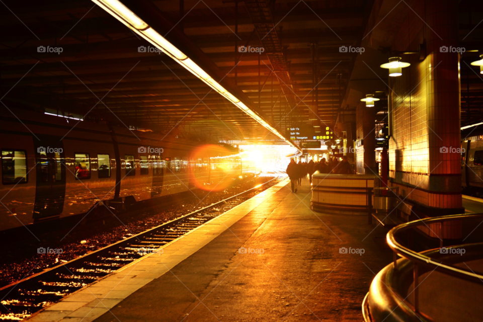 stockholm morning sun train by magnusbergstroem