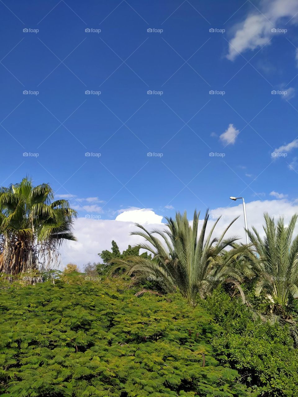 An hour between winter and summer