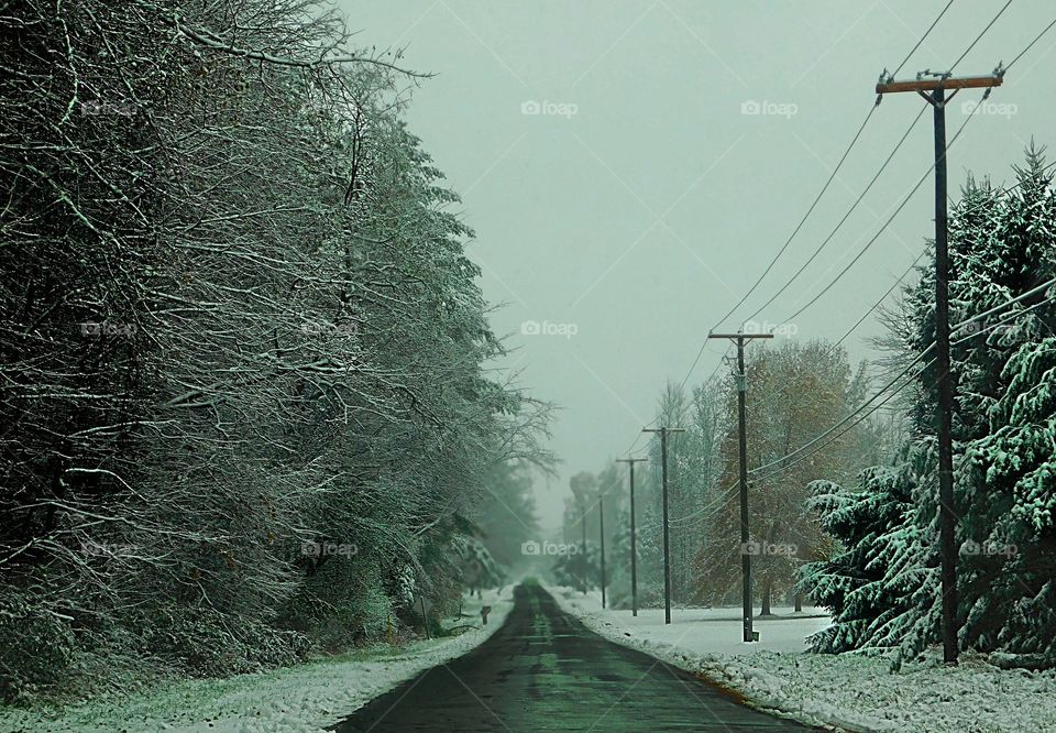 Jamestown Road After a Snowfall