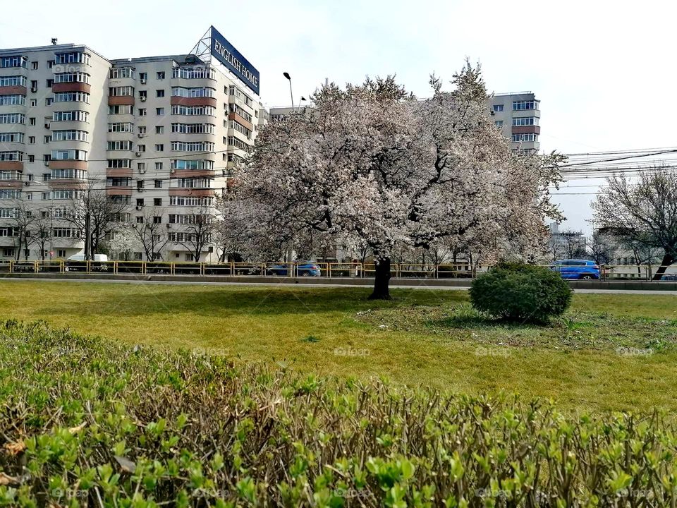 This is spring! 🌱🌸