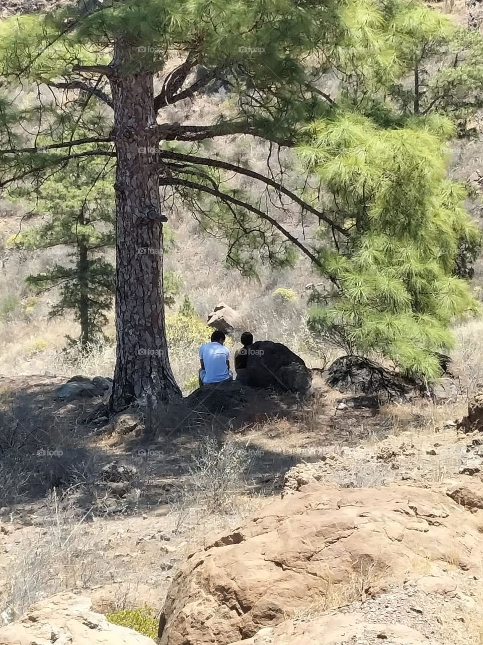 los altos de Mogán Gran Canaria
