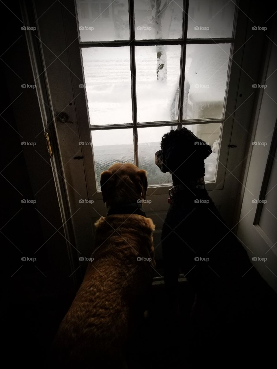 wanting outside