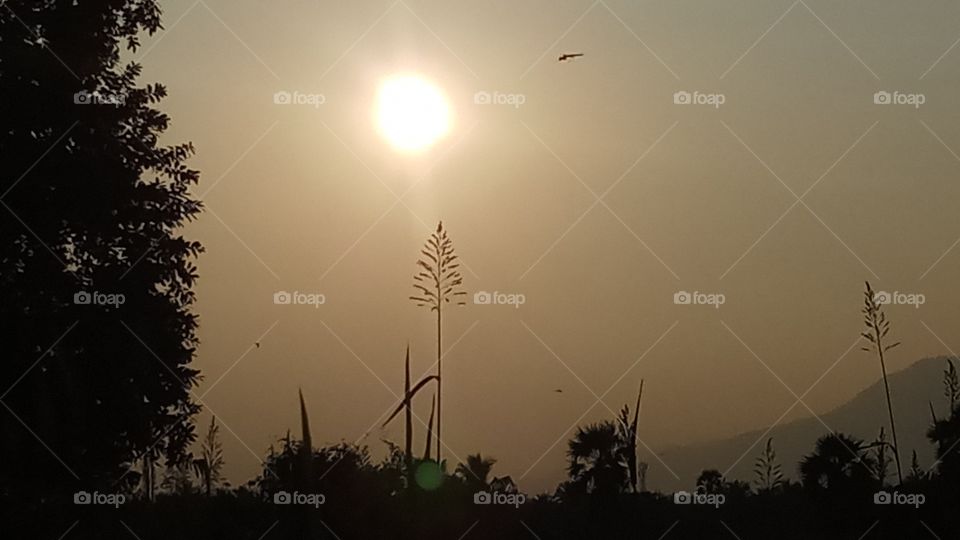 The sunset is very nice click