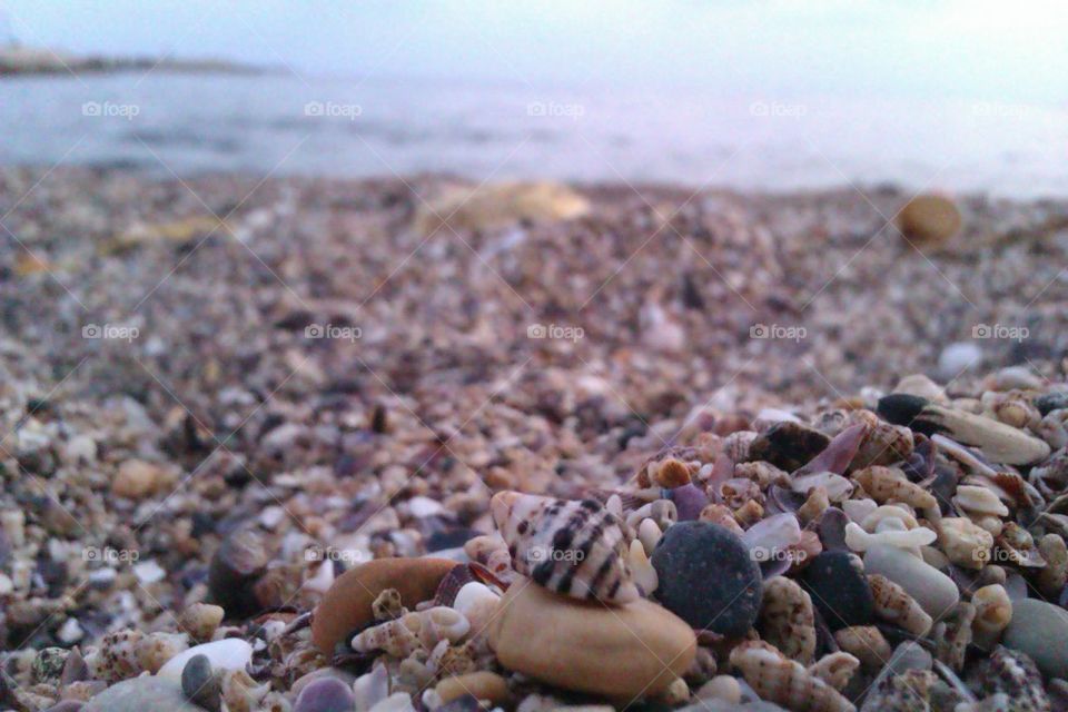 Shells & beach