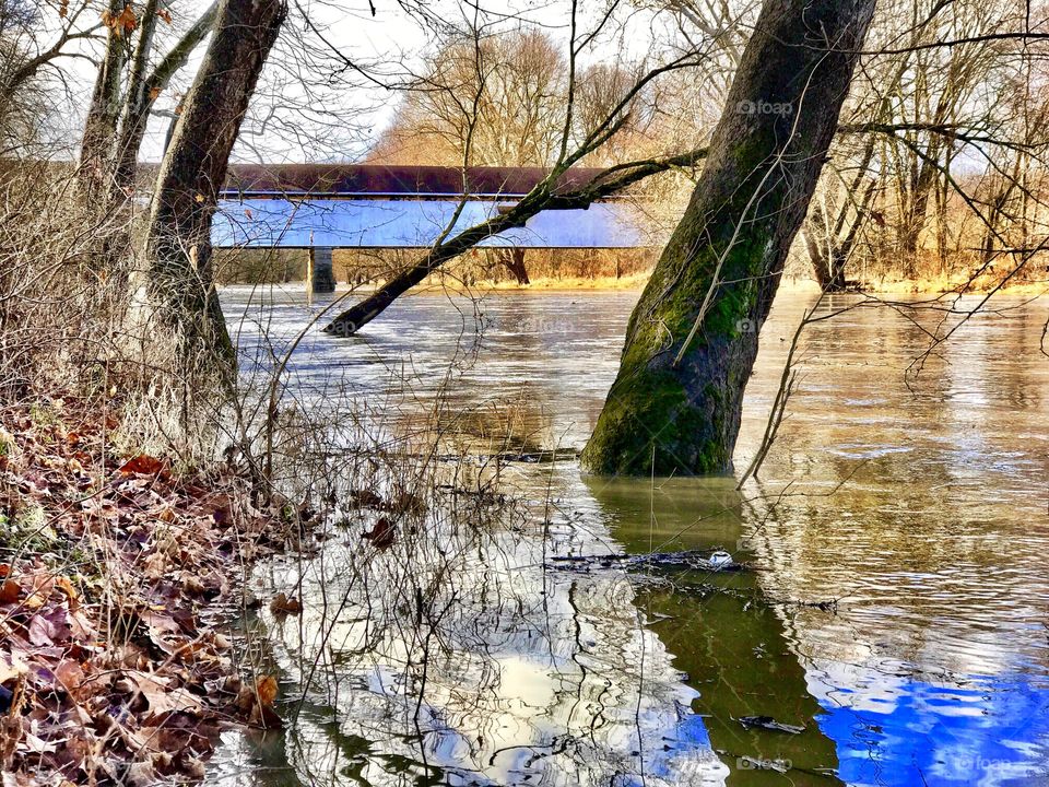 Beautiful Indiana days. 