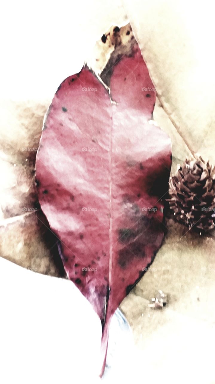 early signs of autumn