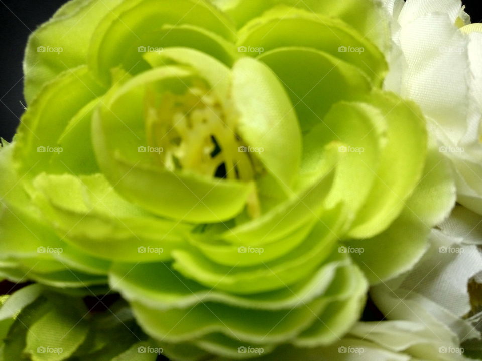 close up to plastic green flower