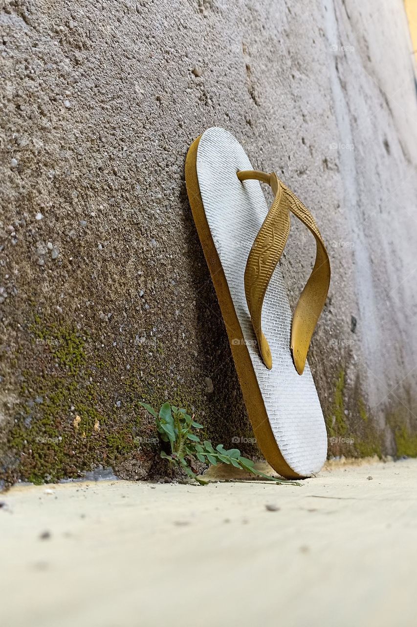 White flip-flops with yellow straps sit against a mossy wall, creating an interesting visual contrast between textures and colors. This photo depicts a peaceful and natural, suppressed atmosphere