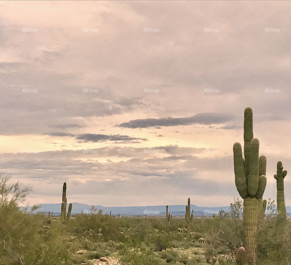 Purple & Gray Desert Sky