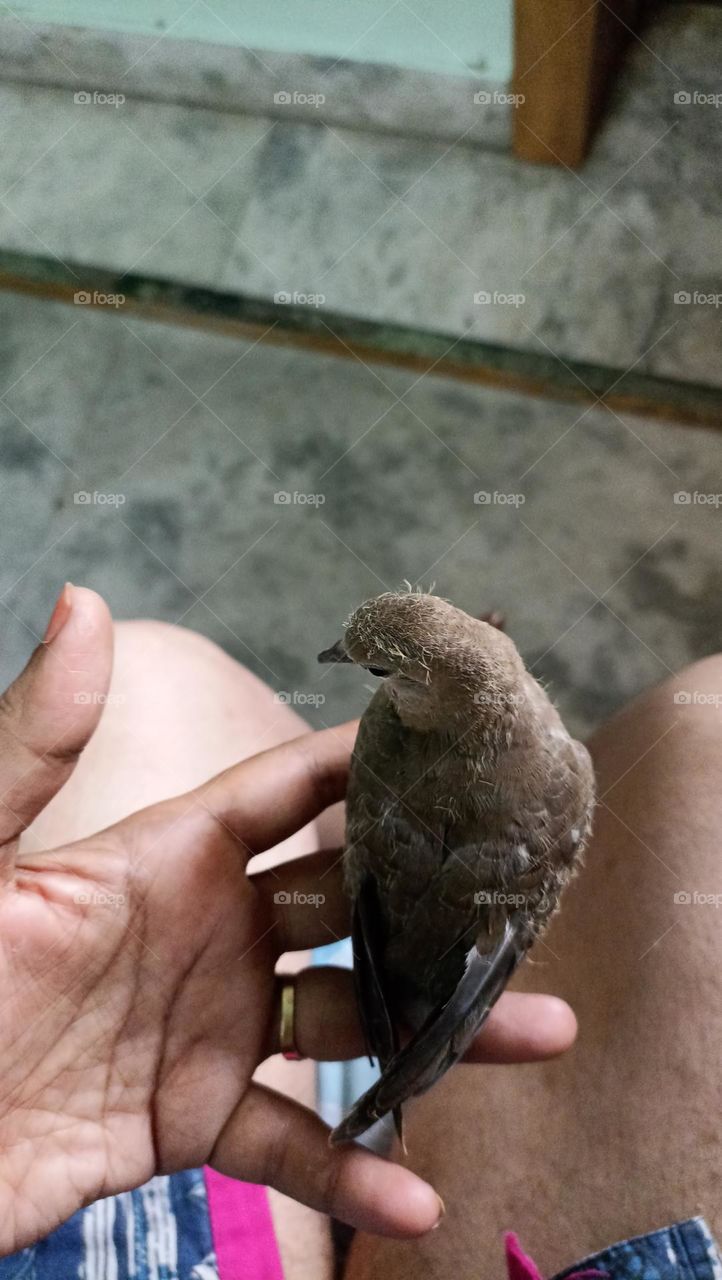 The bond between two different species is not common thing