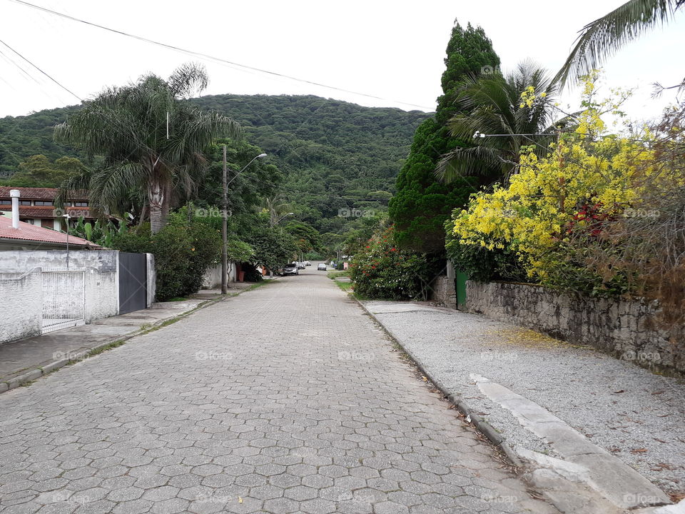 Ruas estreitas  rodeadas pela natureza em Florianópolis.