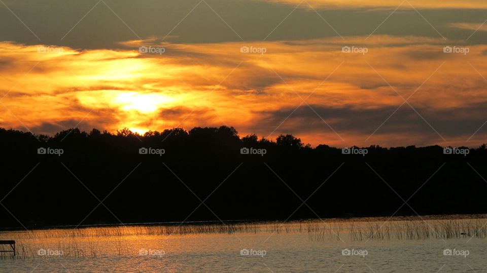 Sunsetting behind trees