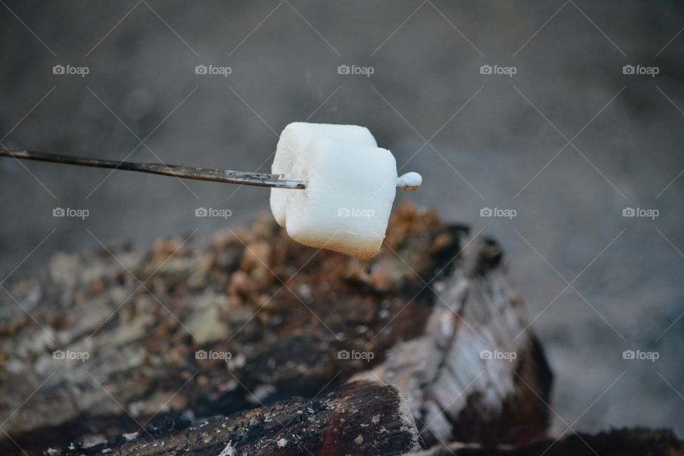 Marshmallows Roasting over a Campfire