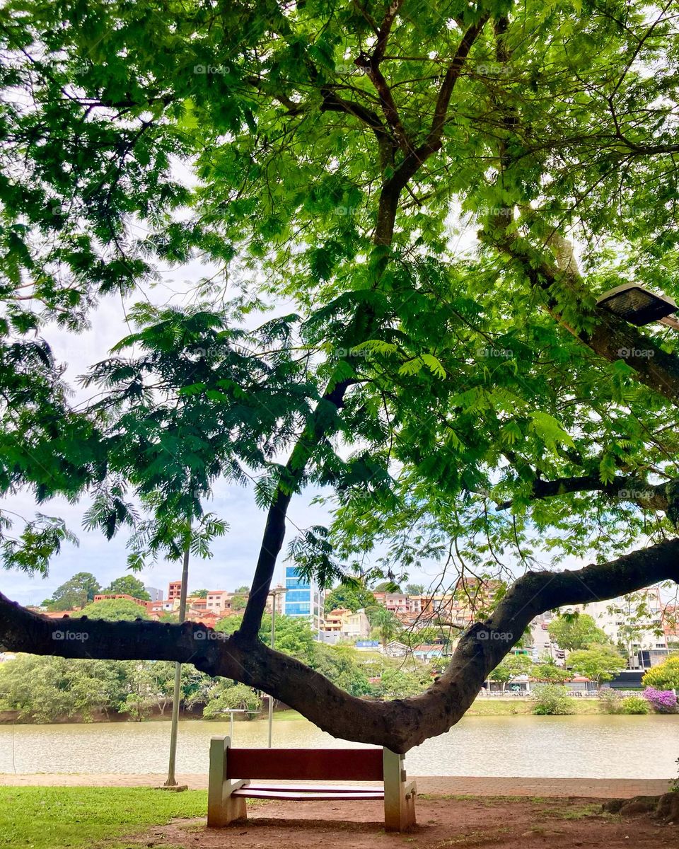 Momento relax à beira do Lago do Taboão. Não dá vontade de ficar sentado aqui por muito tempo?

Viva a natureza e a sua beleza.