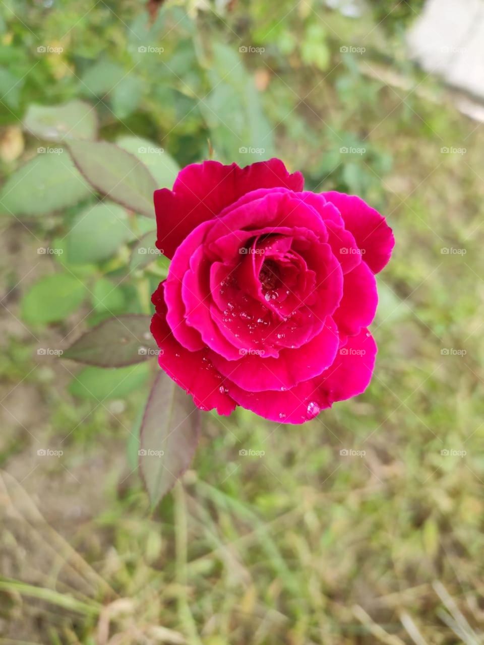 Beautiful things don’t ask for attention