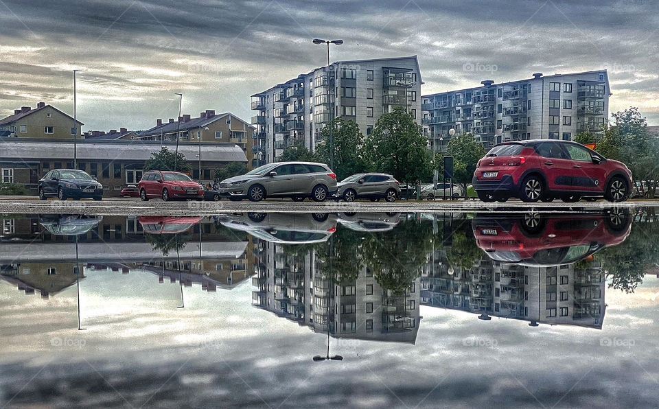 Reflections after the rain 