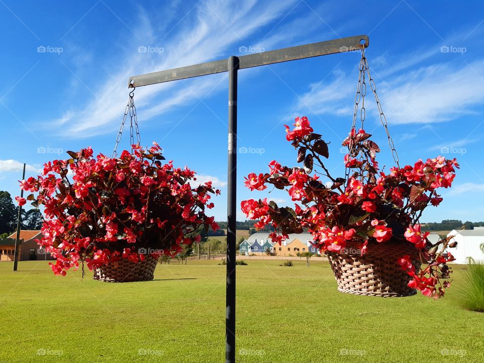 Beleza suspesa, Carambeí Pr