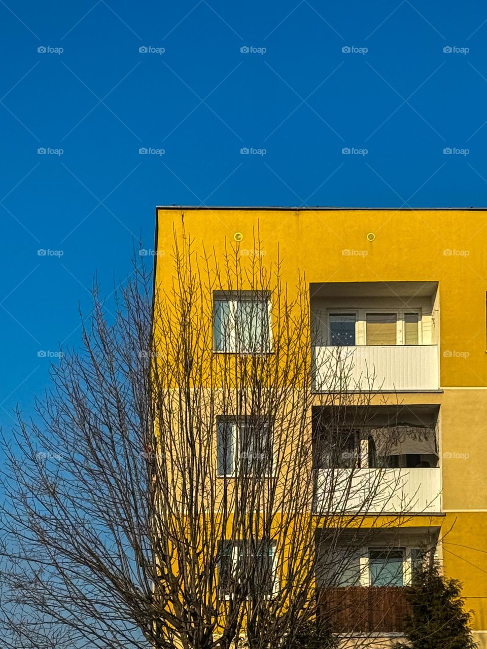 Bright yellow residential building, clear blue sky in the background and a tree with no leaves, minimalism, bright colors