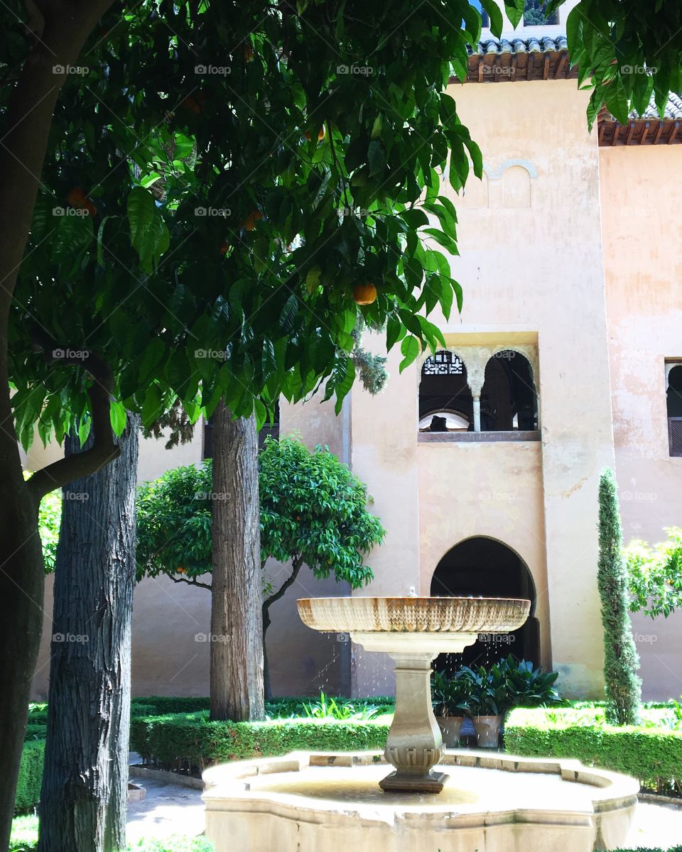 A tranquil scene of a fountain in a courtyard in Spain 