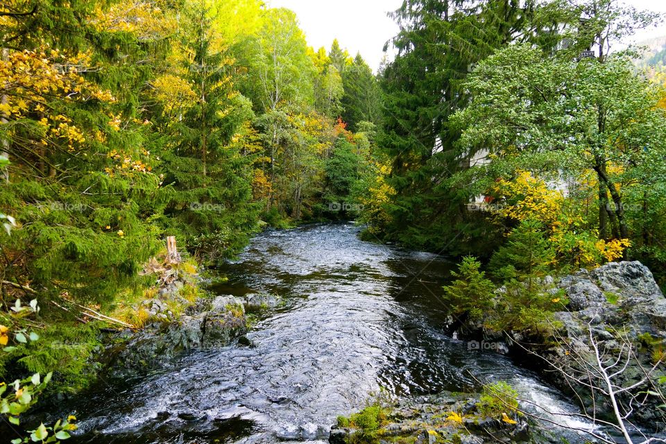 Autumn landscape on the river on a Sunna day 