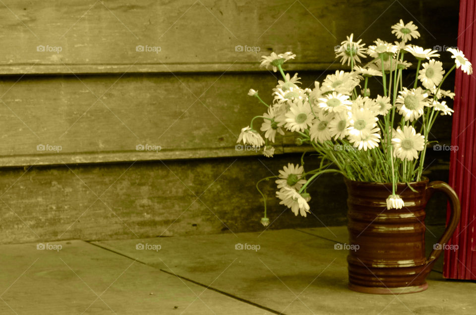 Take the Nostalgic Way Home ( Series )