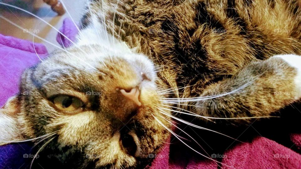 Grady saying, "I see you"!