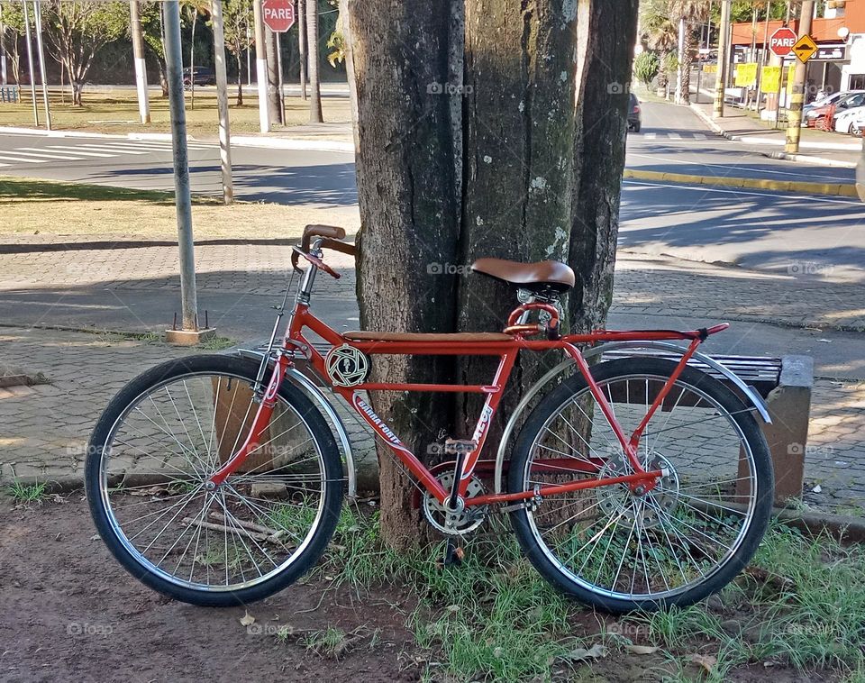 A red bycicle by an old tree in the city