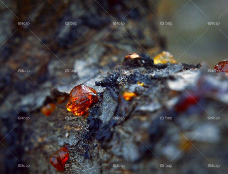 resin on wood colored amber and light yellow bright color